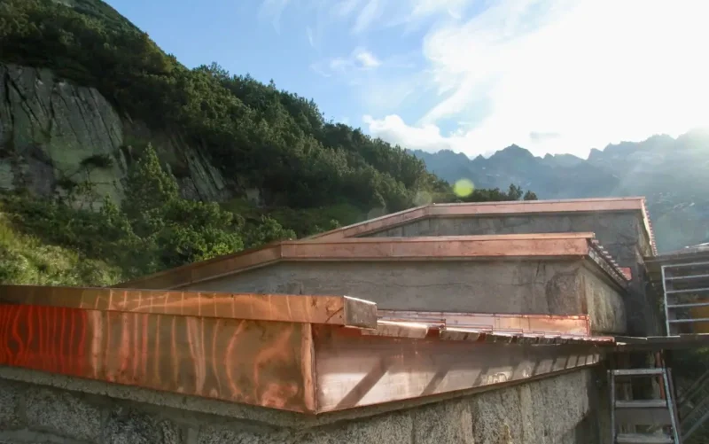 FEBCEBF8-1A5C-4934-856B-E853B64CBC85_1_105_c